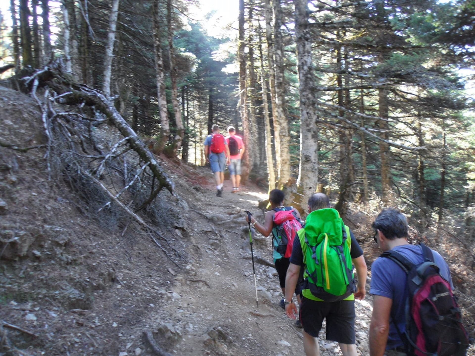 Trekking / Steni – Xerovouni