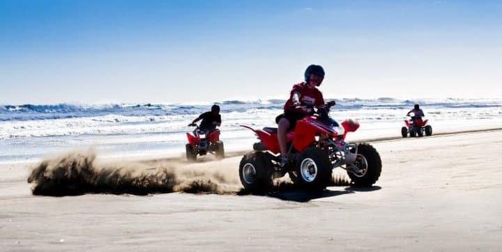 Costal Views Safari