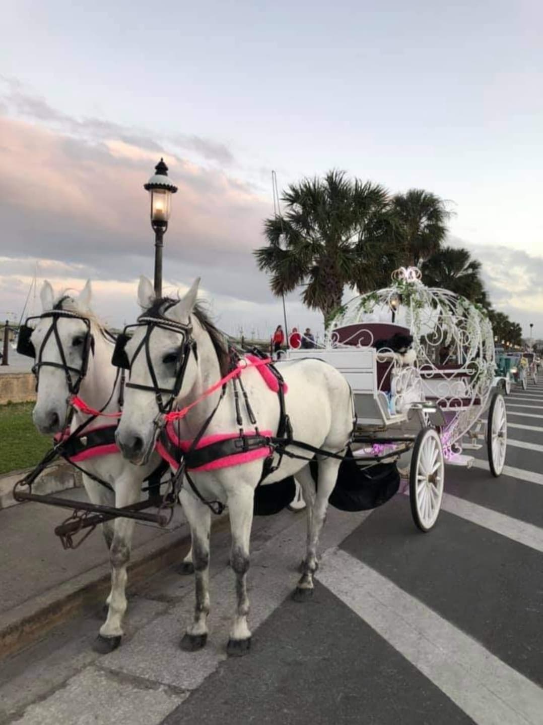 Cinderella Carriage