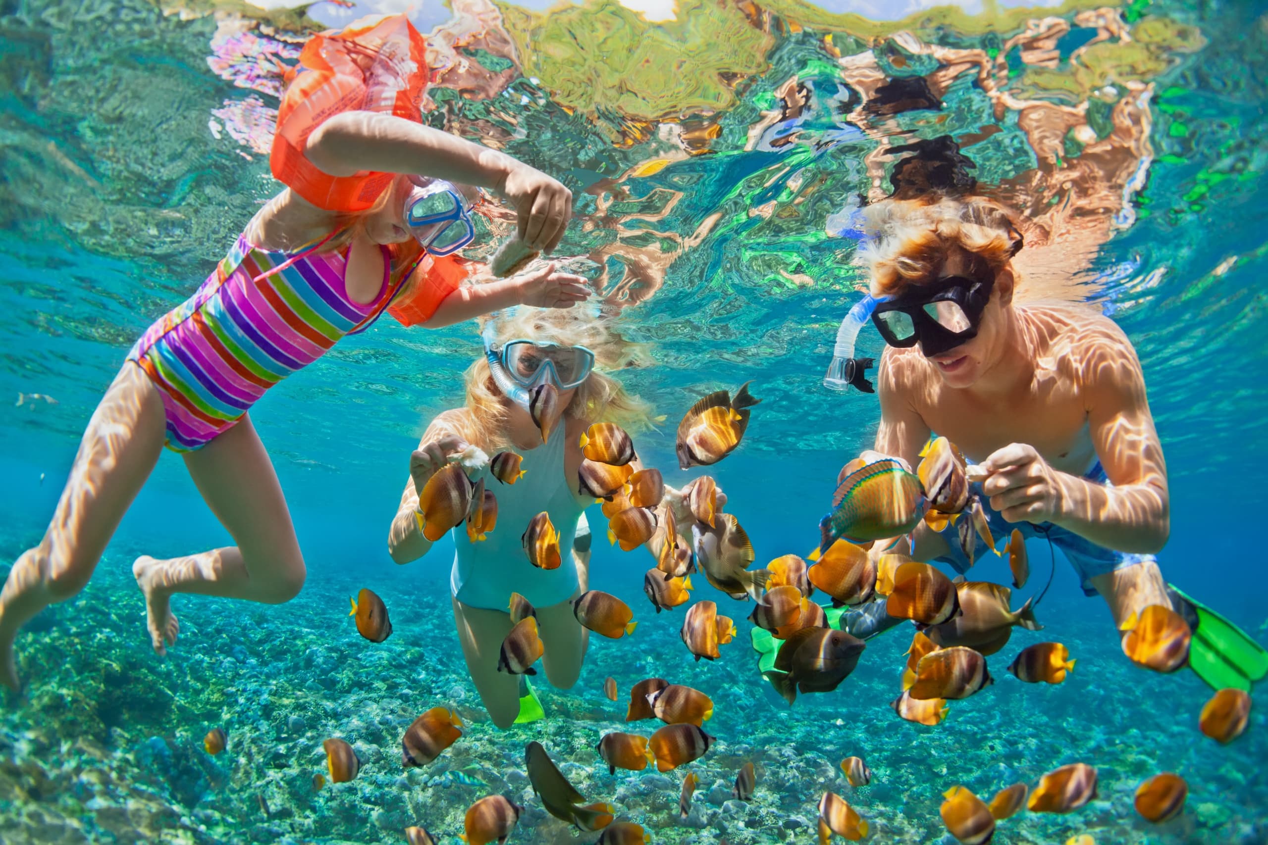 3-Hour Waikiki Snorkel Adventure