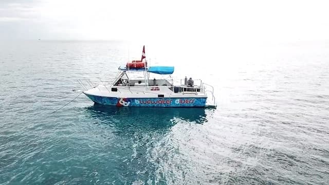 Scuba Diving Boat Charter