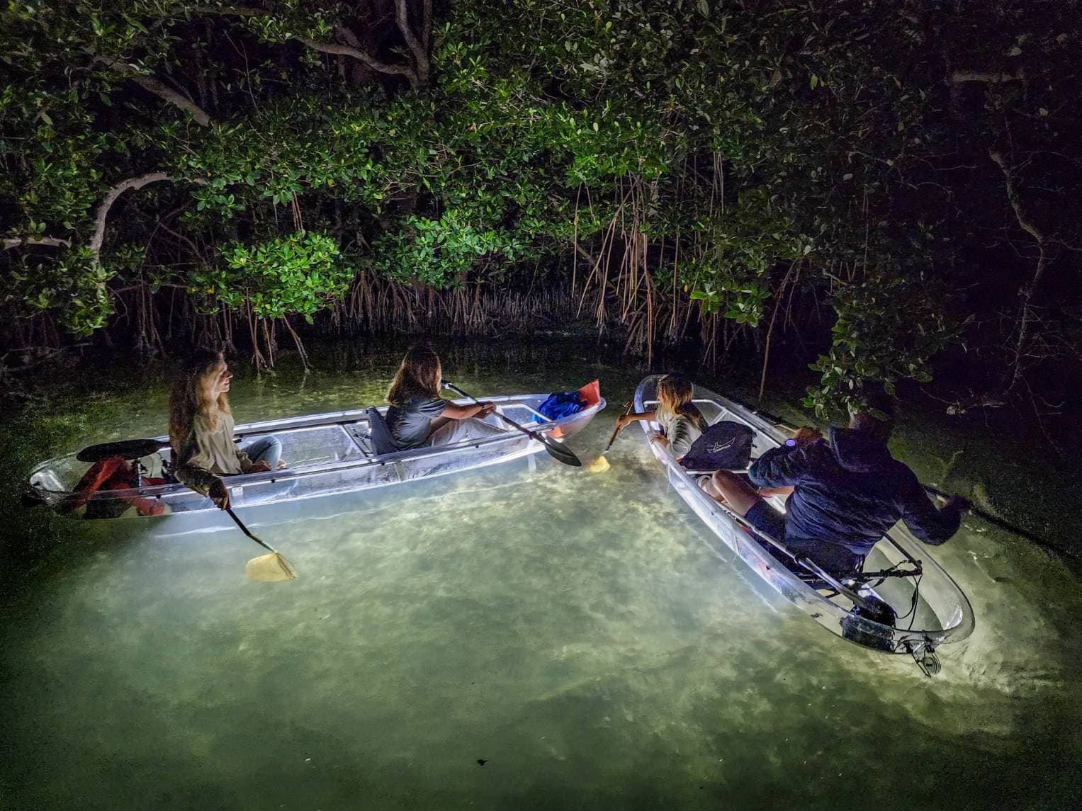 Clear Kayak L.E.D. Night Tour - Siesta Key