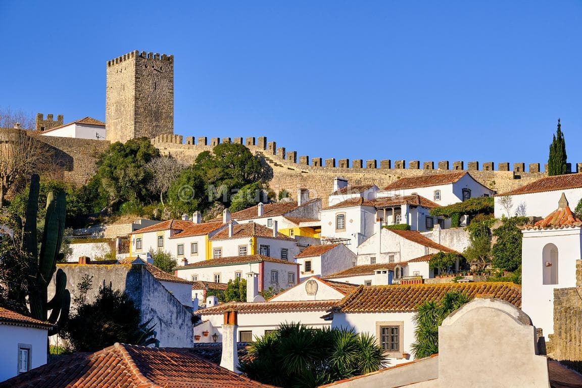 Full Day Obidos Medieval Village World Heritage Private Tour