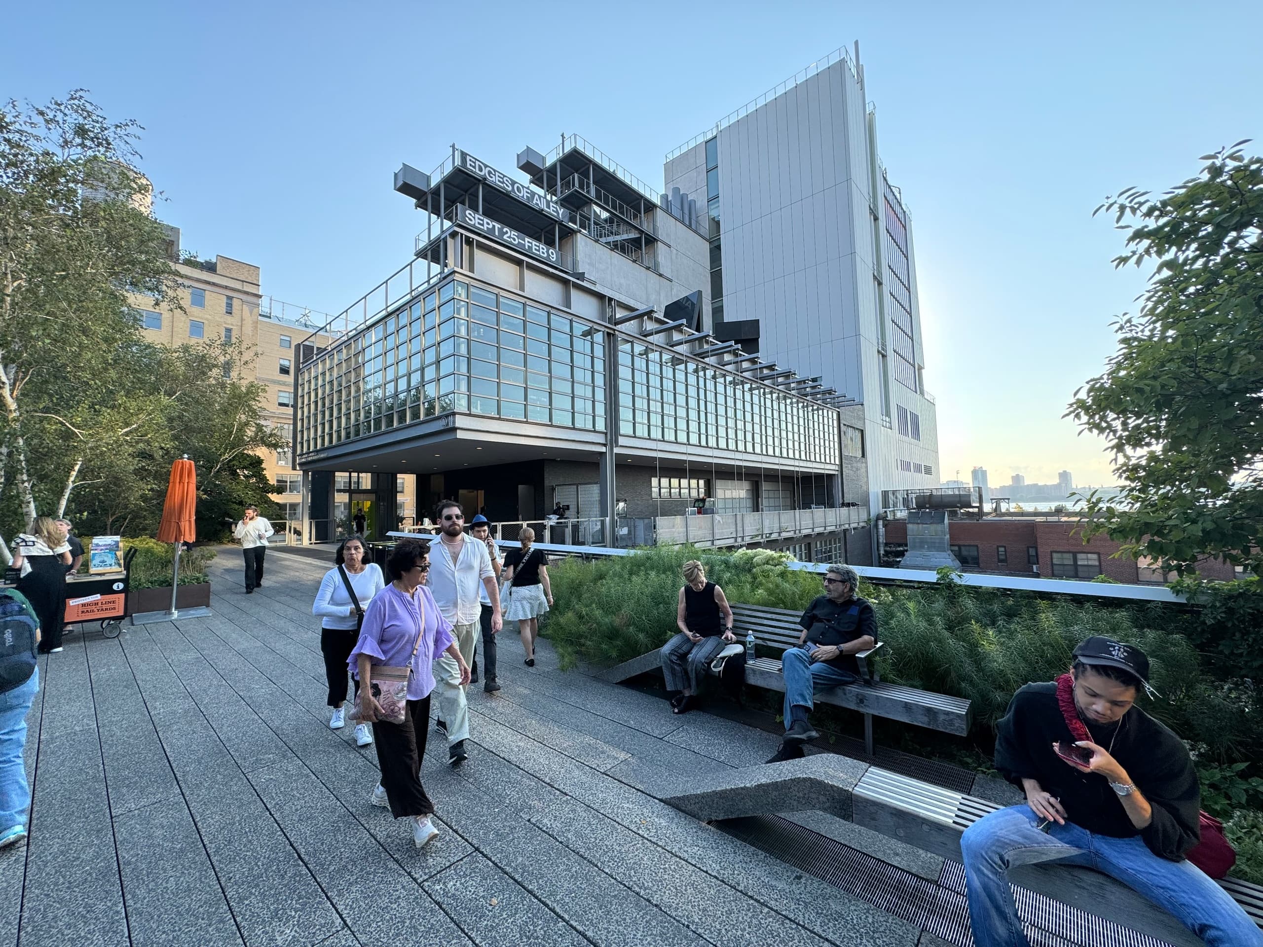 New York Chelsea and the High Line Art and Architecture Tour