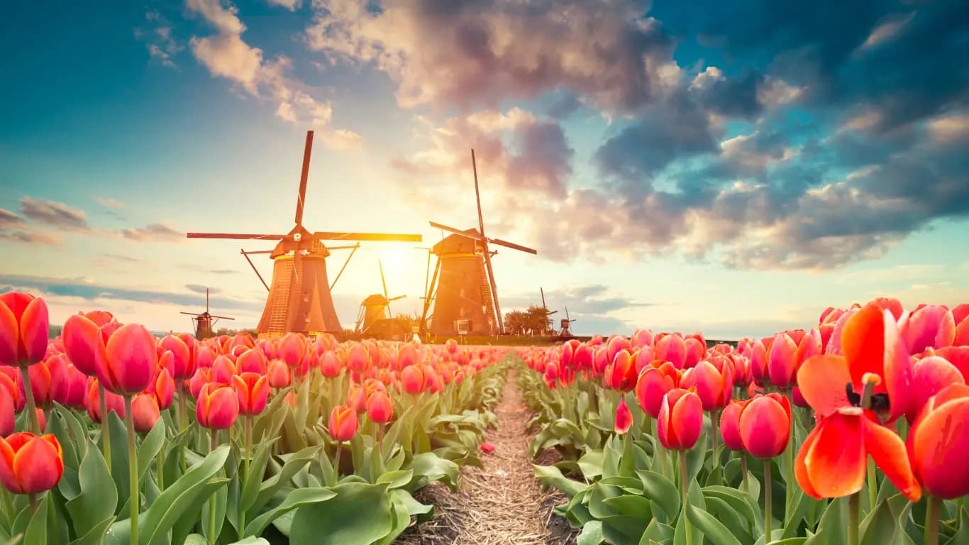 AMSTERDAM: MOLINOS Y CAMPIÑA