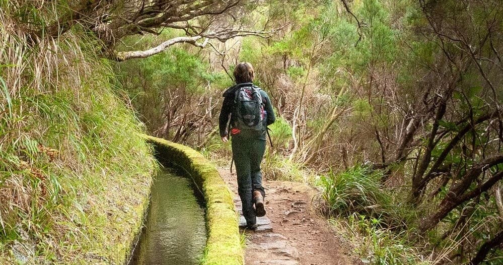 Private | Custom Levada Walking Tour