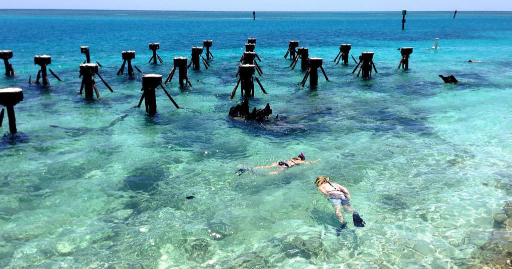 Dry Tortugas Trip Private - Finz Freeman