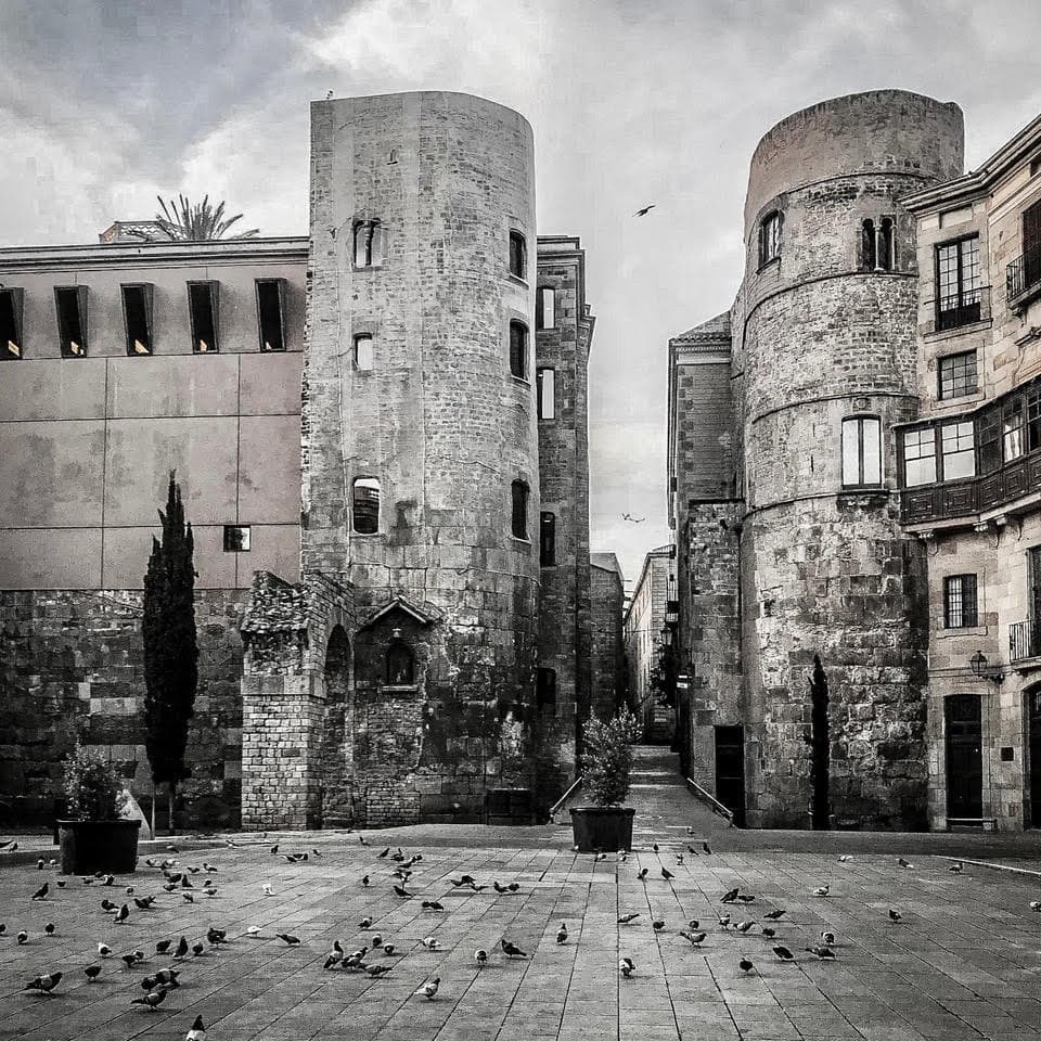Private Walking Tour Barcelona Old Town: Gothic Area & Born
