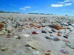 Shell Key Eco Adventure