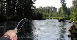Afternoon Alaskan Fishing Adventure