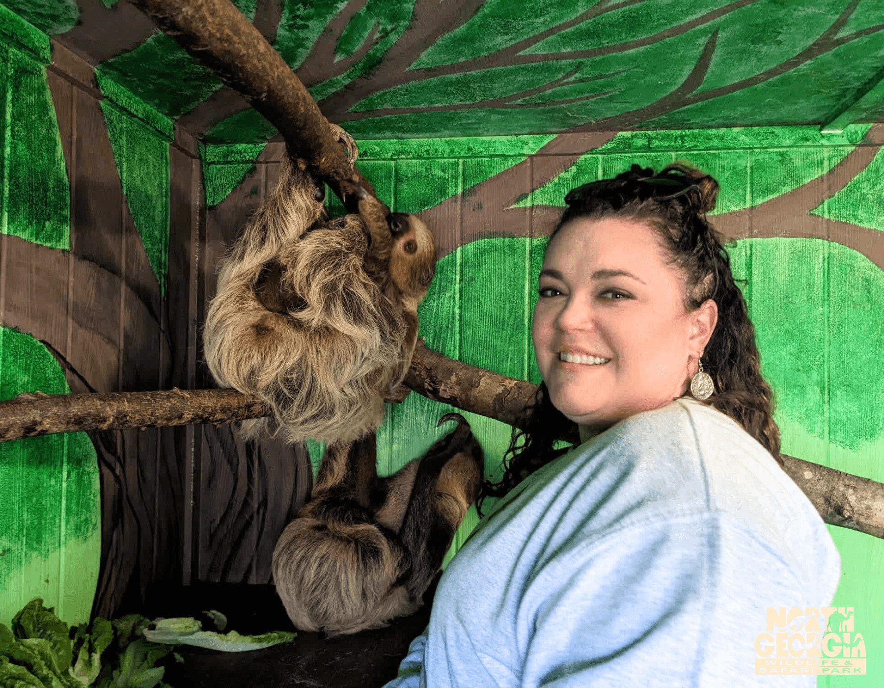 Sloth Meet & Greet