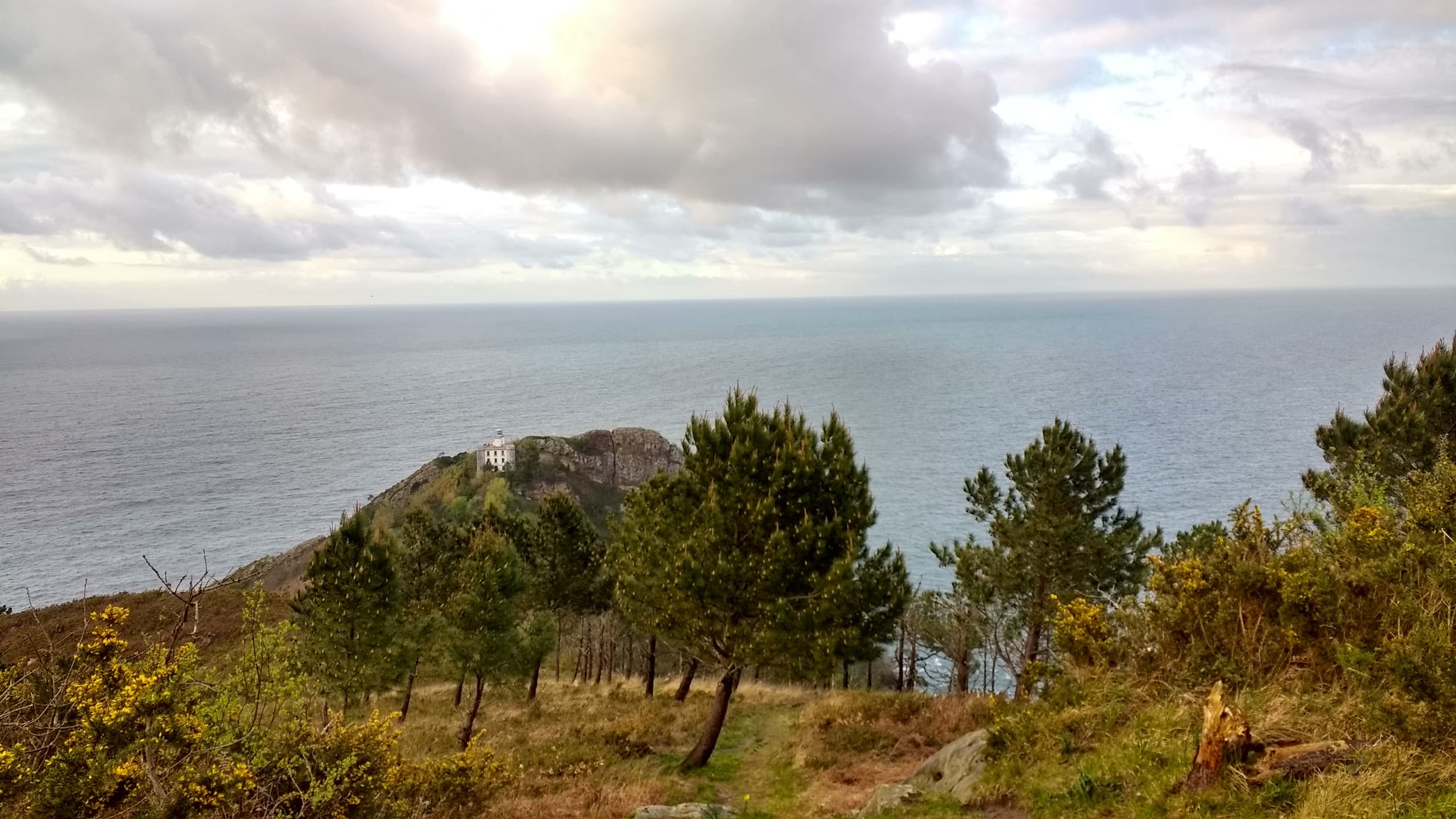 Camino de Santiago en grupo
