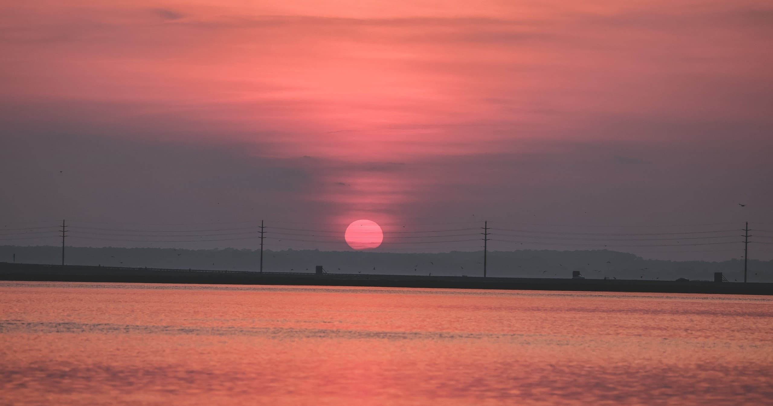 Sunset Pontoon Boat Rentals