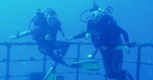 Certified Divers & Wreck Divers