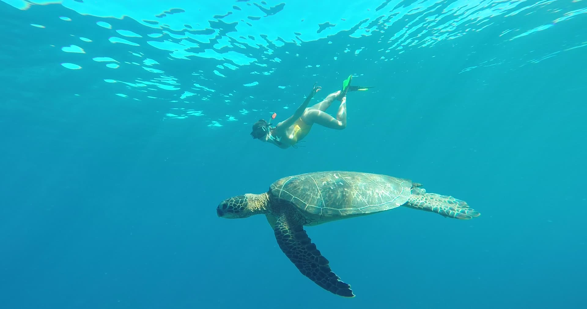 Kayak/Snorkel