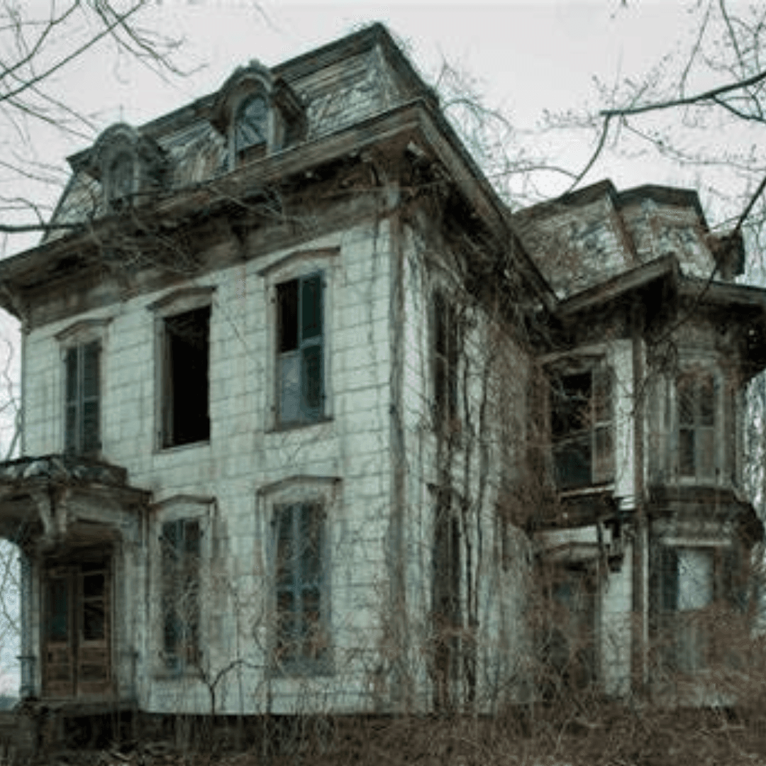 Demo and Reno Tour