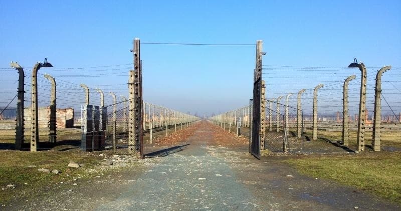 Auschwitz-Birkenau & Salt Mine in One Day and Ebook