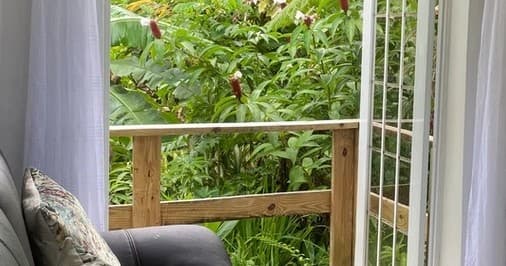 El Yunque Waterfalls Forest Tiny House