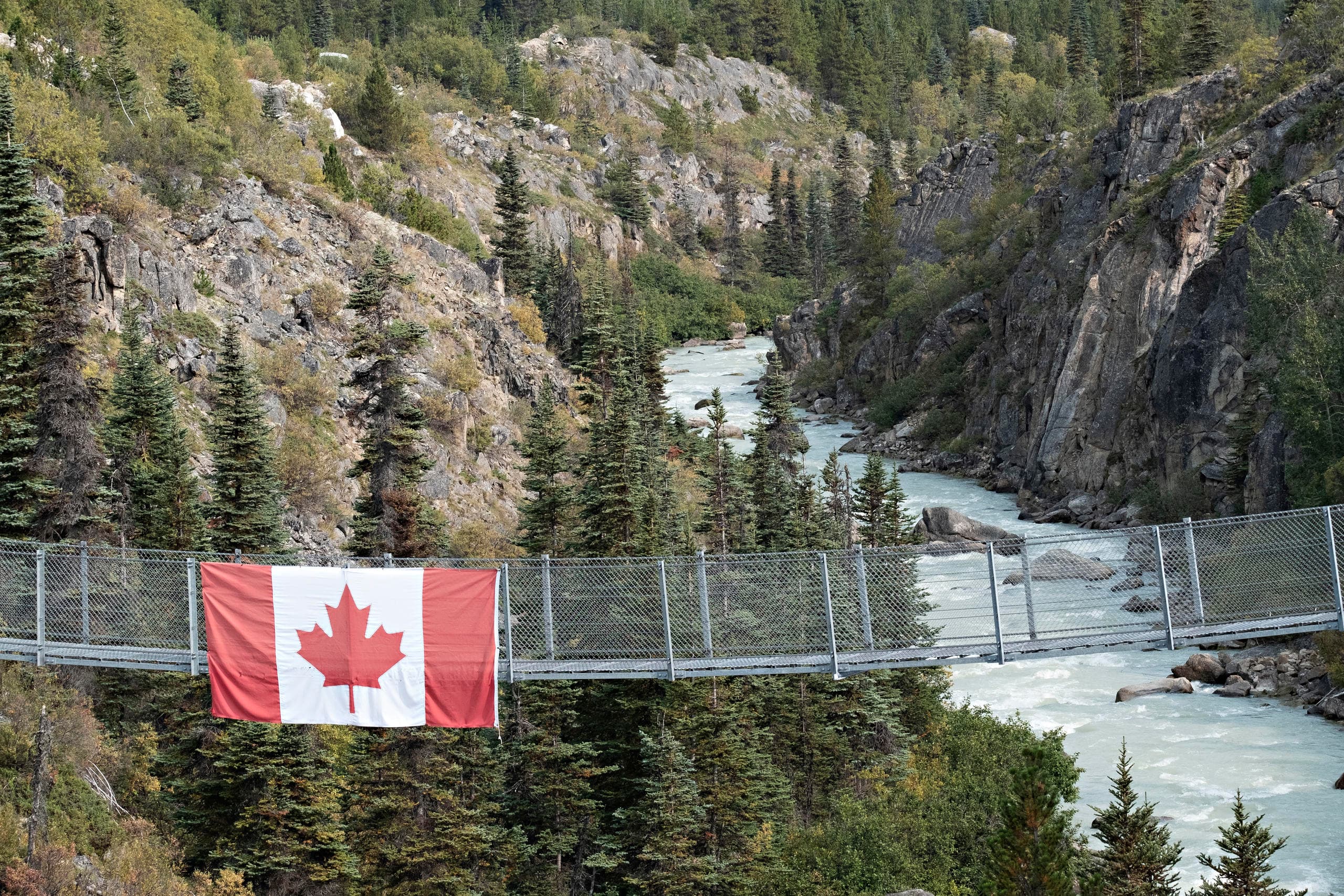 Yukon Suspension Bridge  and Summit Tour - From Skagway