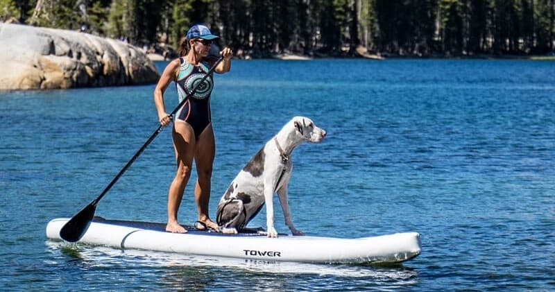 Stand-Up Paddleboards