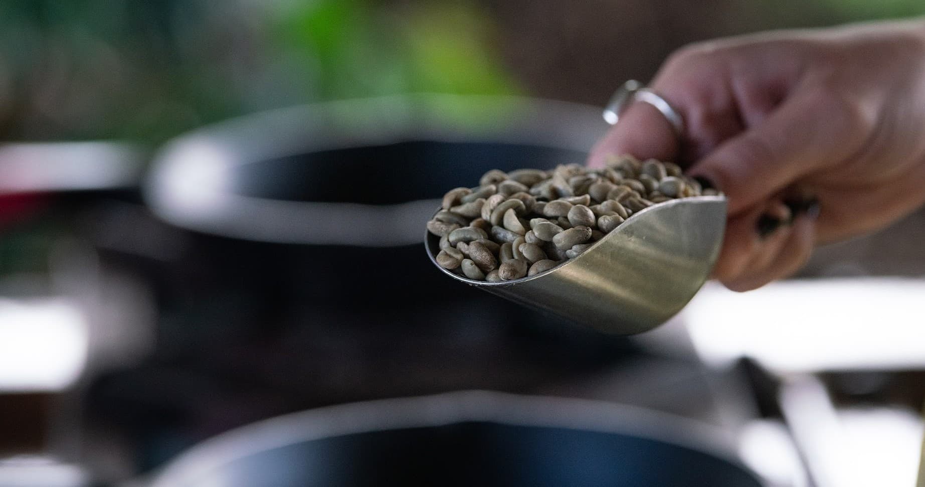 Paniolo Coffee Roasting Experience