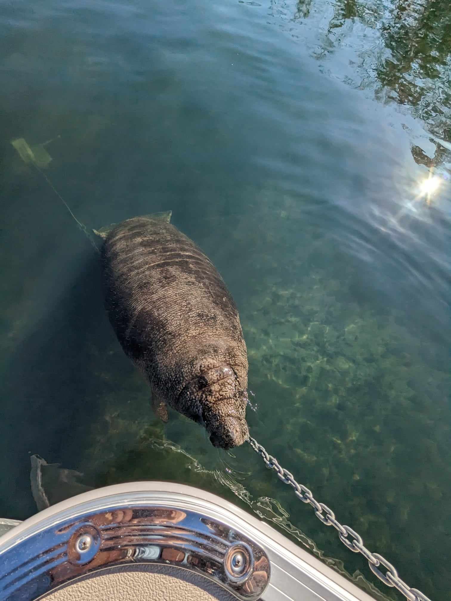 Pontoon Homosassa River Run