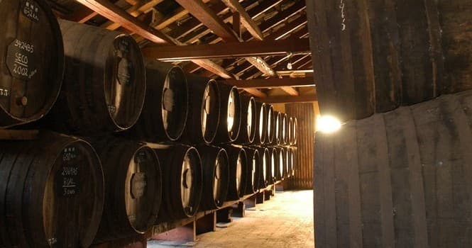 Madeira 1877 Wine Tour - Diamond