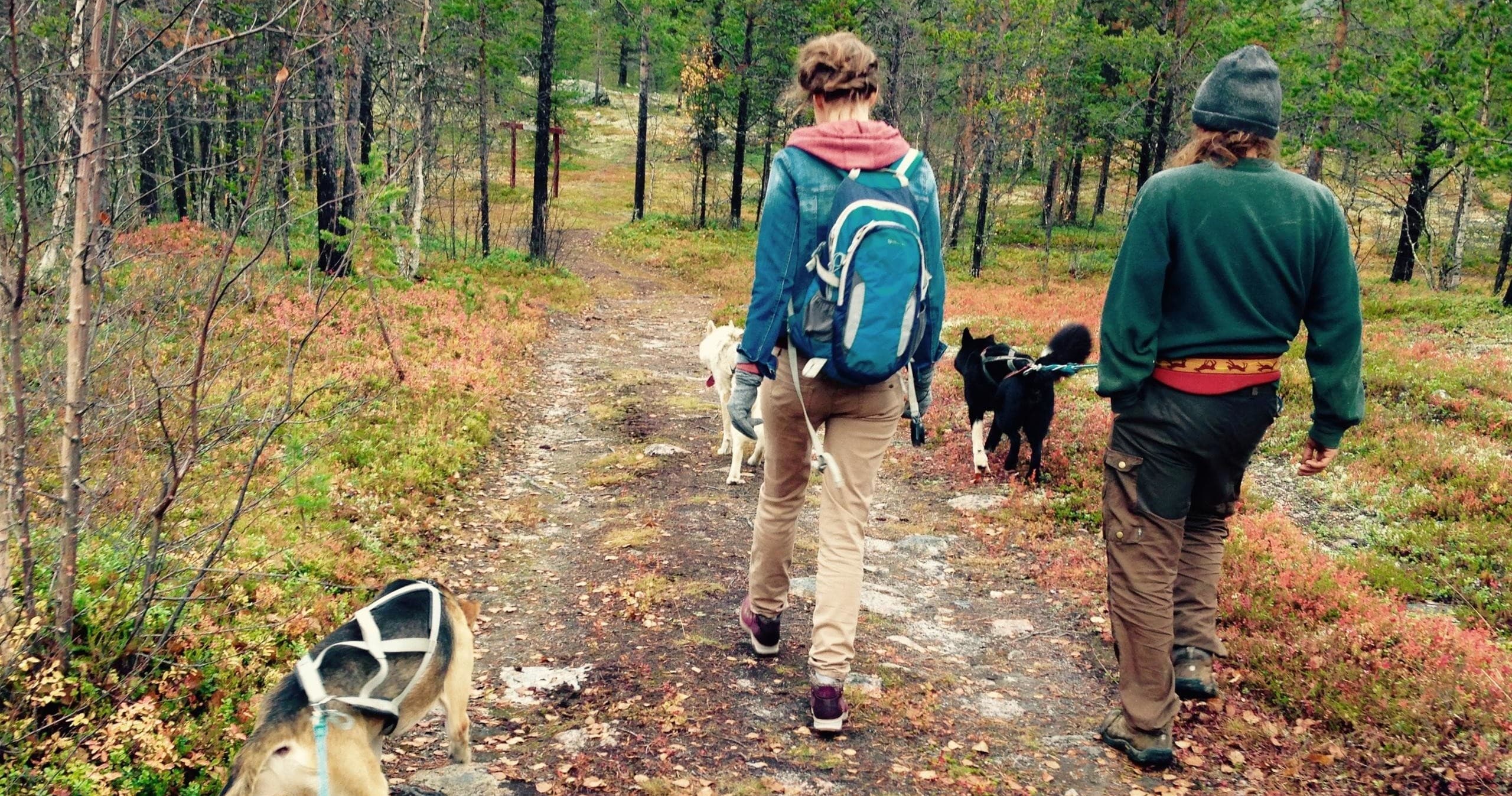 Hike with Huskies: Short Ridge Walk