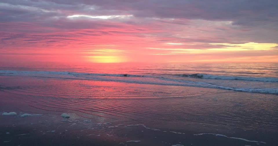 Beach Gear Rental • Two Weeks