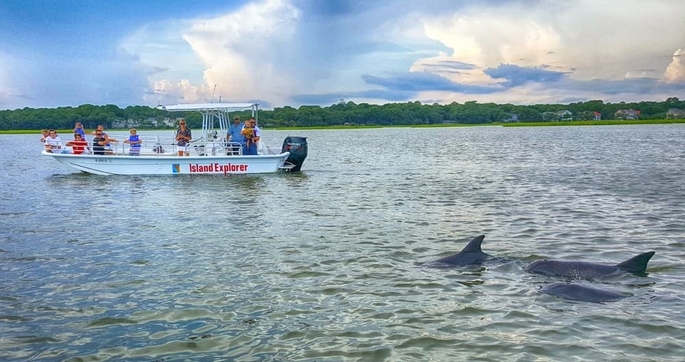 Private Dolphin Encounter - Two Hour