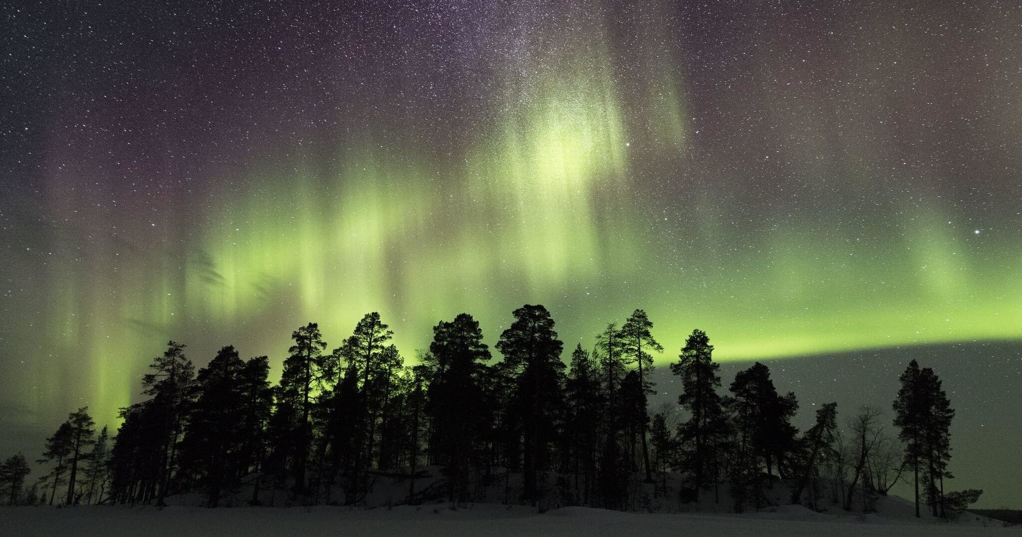 Aurora Snowshoeing