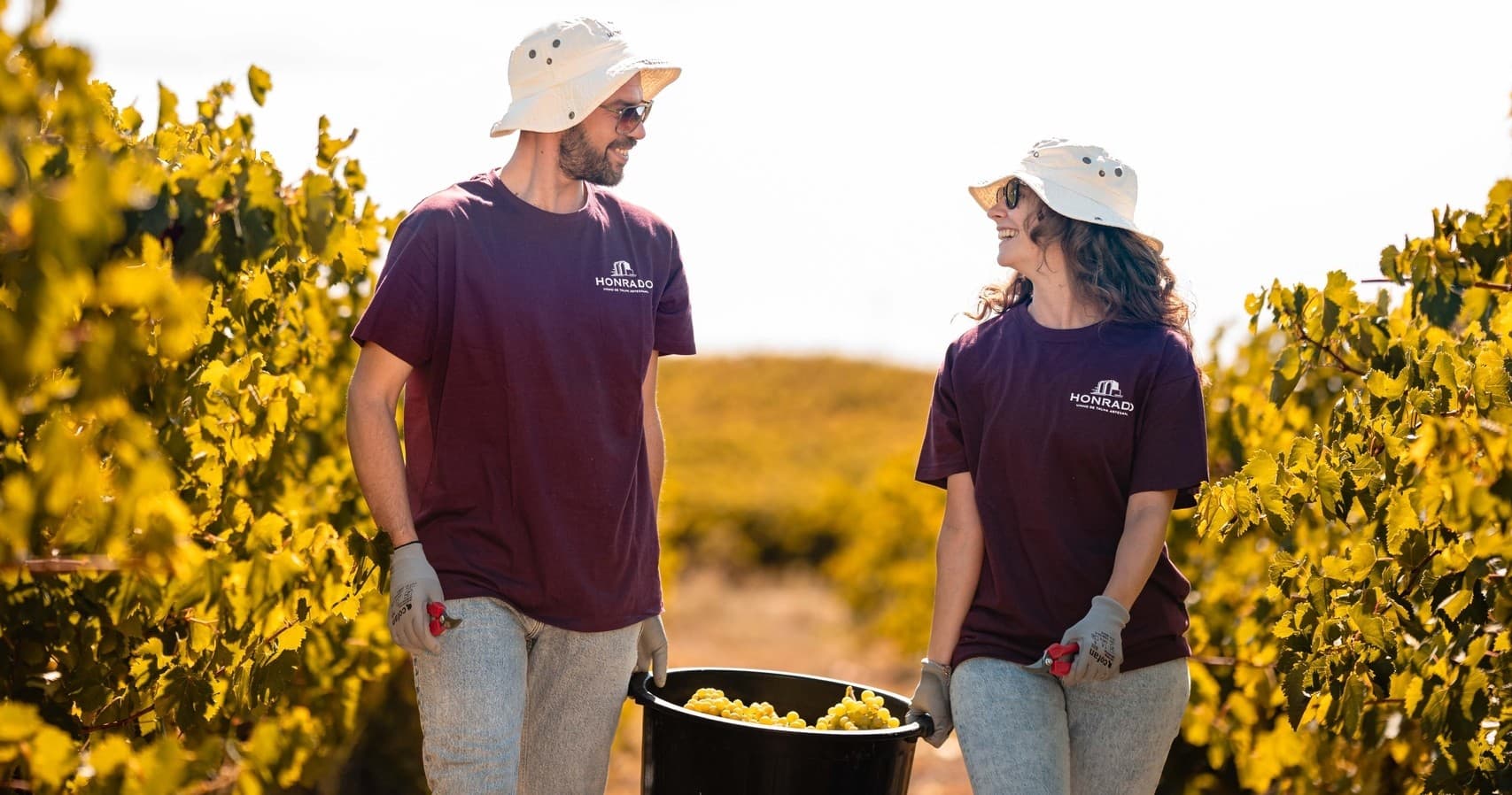 Vindimas e Vinho de Talha
