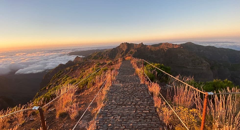 Transfer from Porto da Cruz to Pico Ruivo - Arieiro or PR9