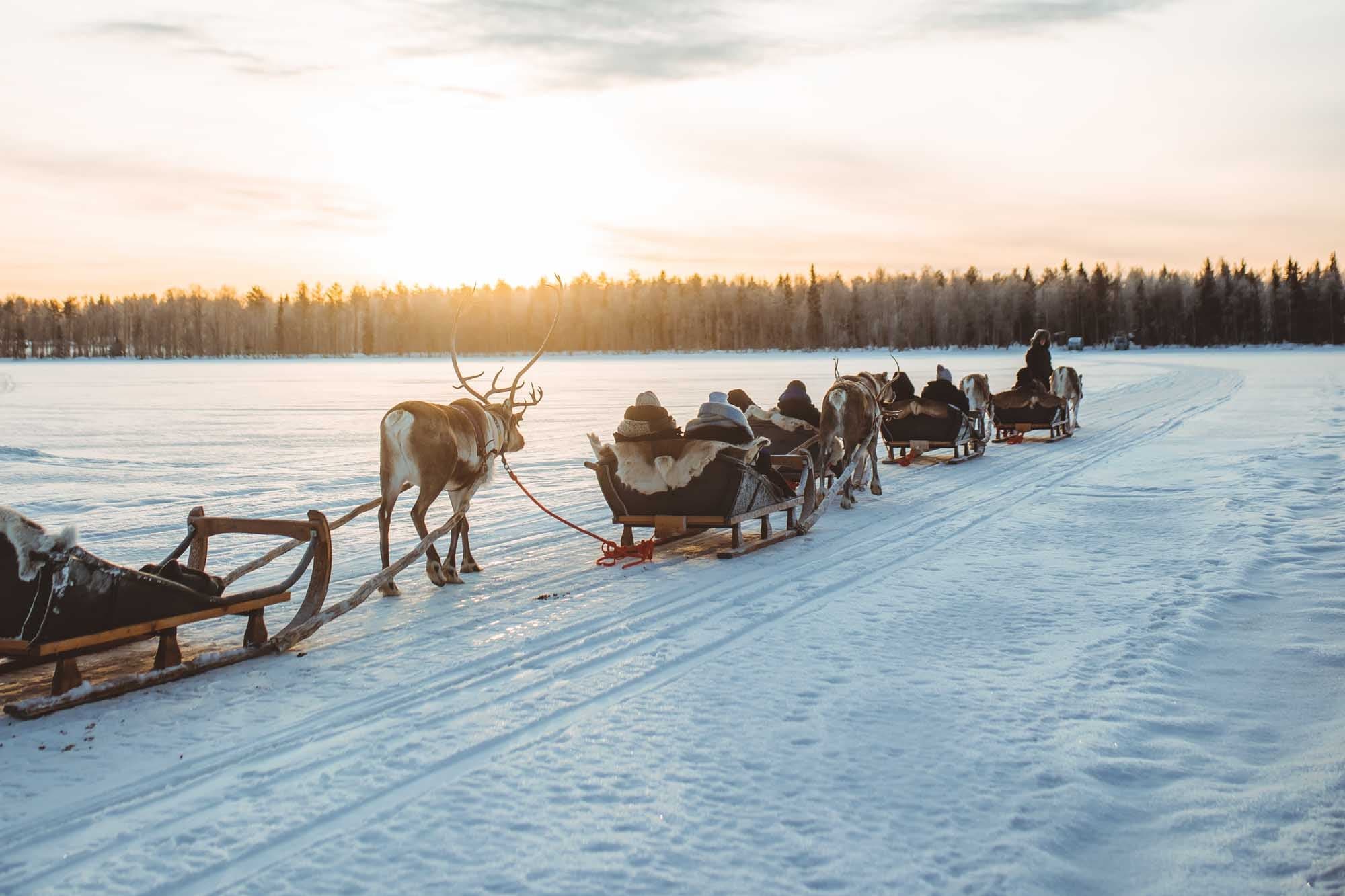 Apukka Reindeer Journey
