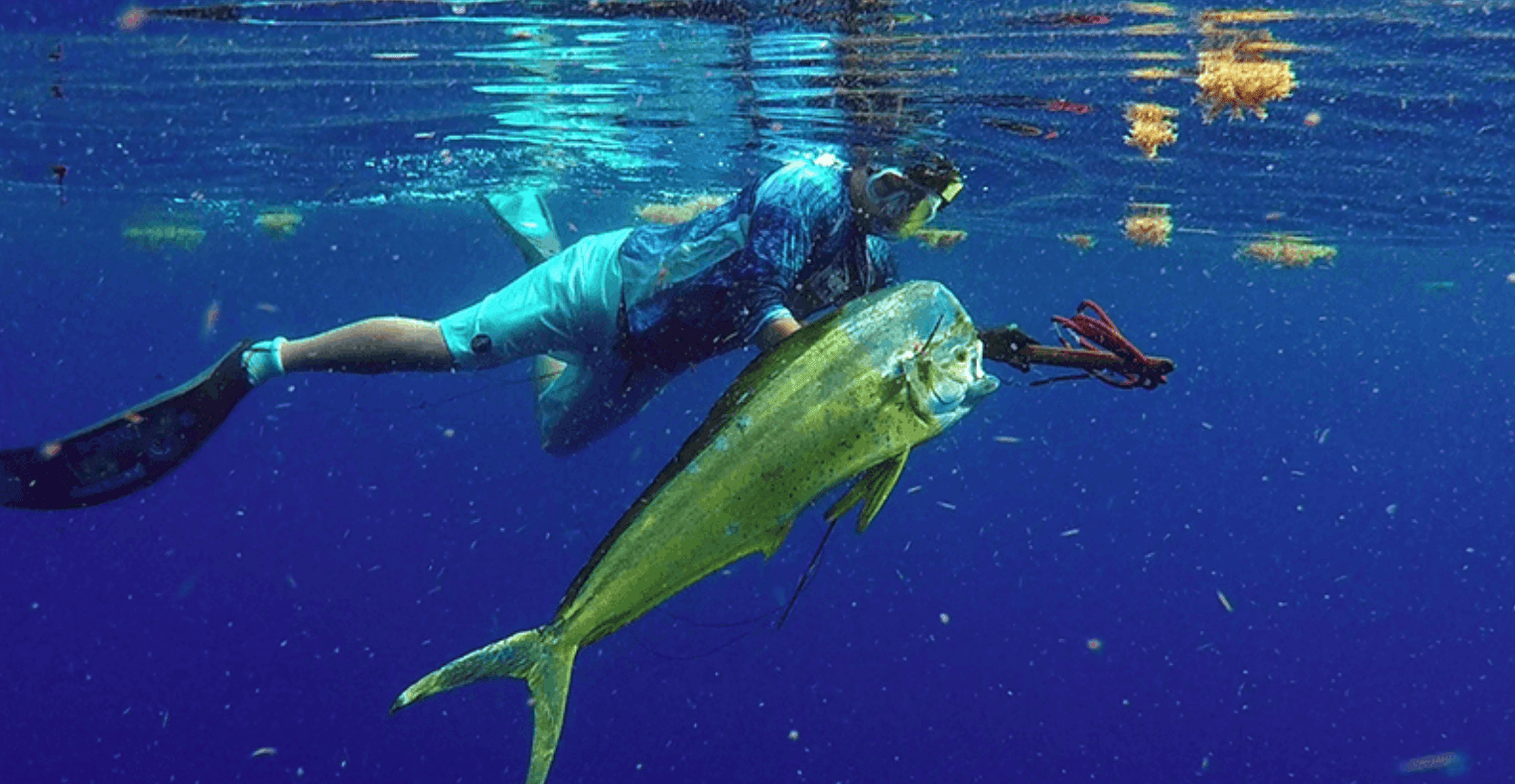 Islamorada Spearfishing Charter