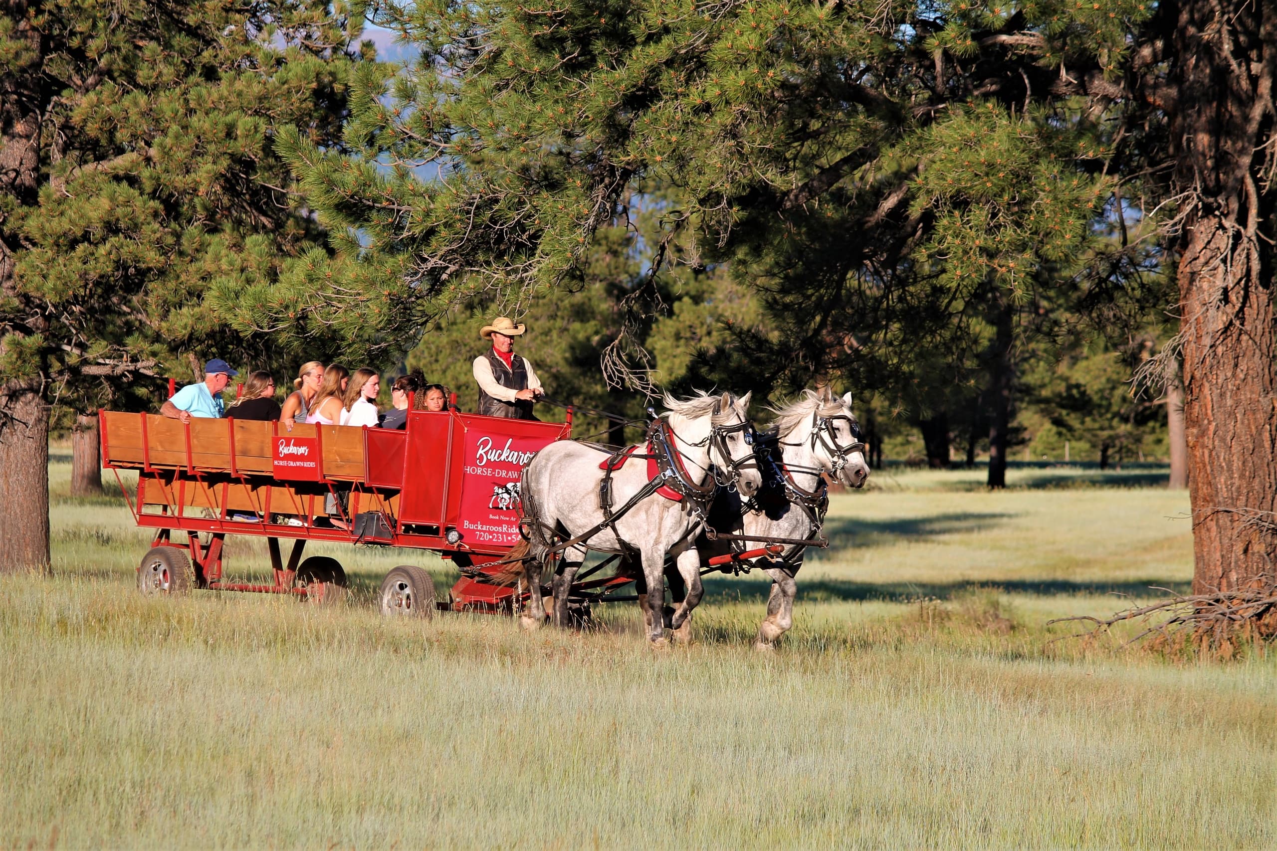 Public Wagon Ride