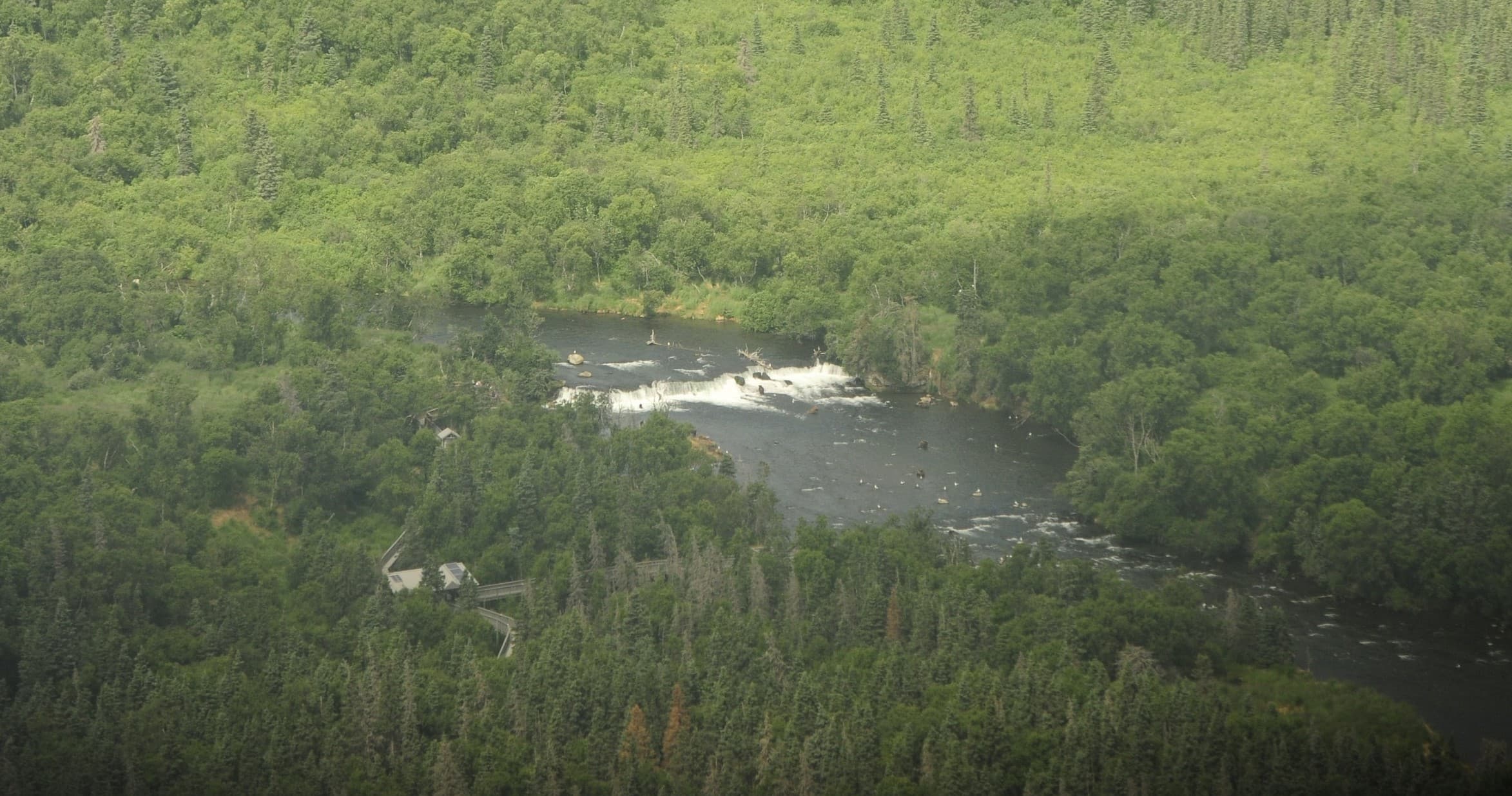 King Salmon to Brooks Camp
