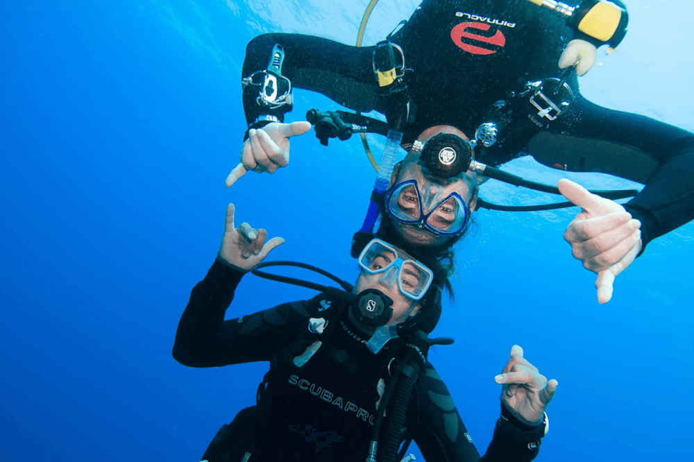 Refresher & ReActivate Ocean Dives