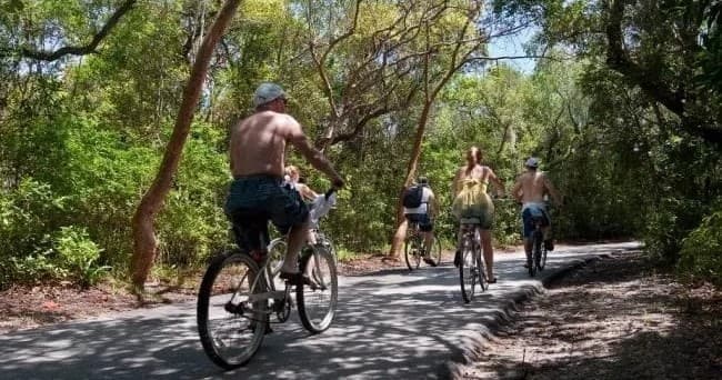 One Hour Bike Rental