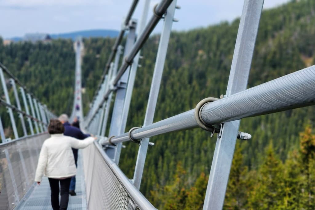 Sky Bridge & The Sky Walk: A Day Trip to Spectacular Heights