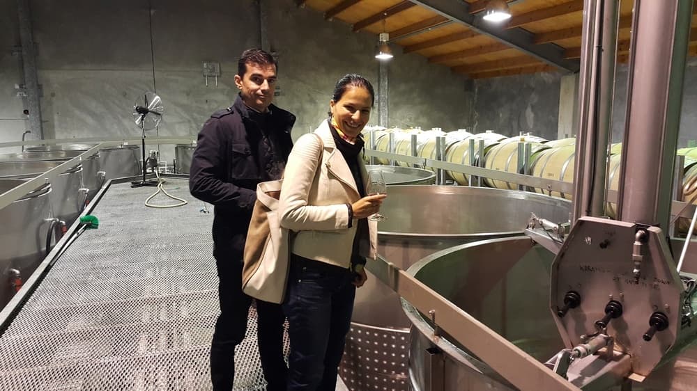 Deluxe Driving Wine Tour – Half Day
