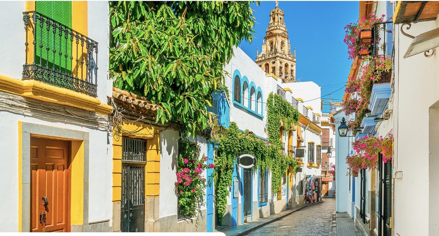 Walking Tour Monumental Seville
