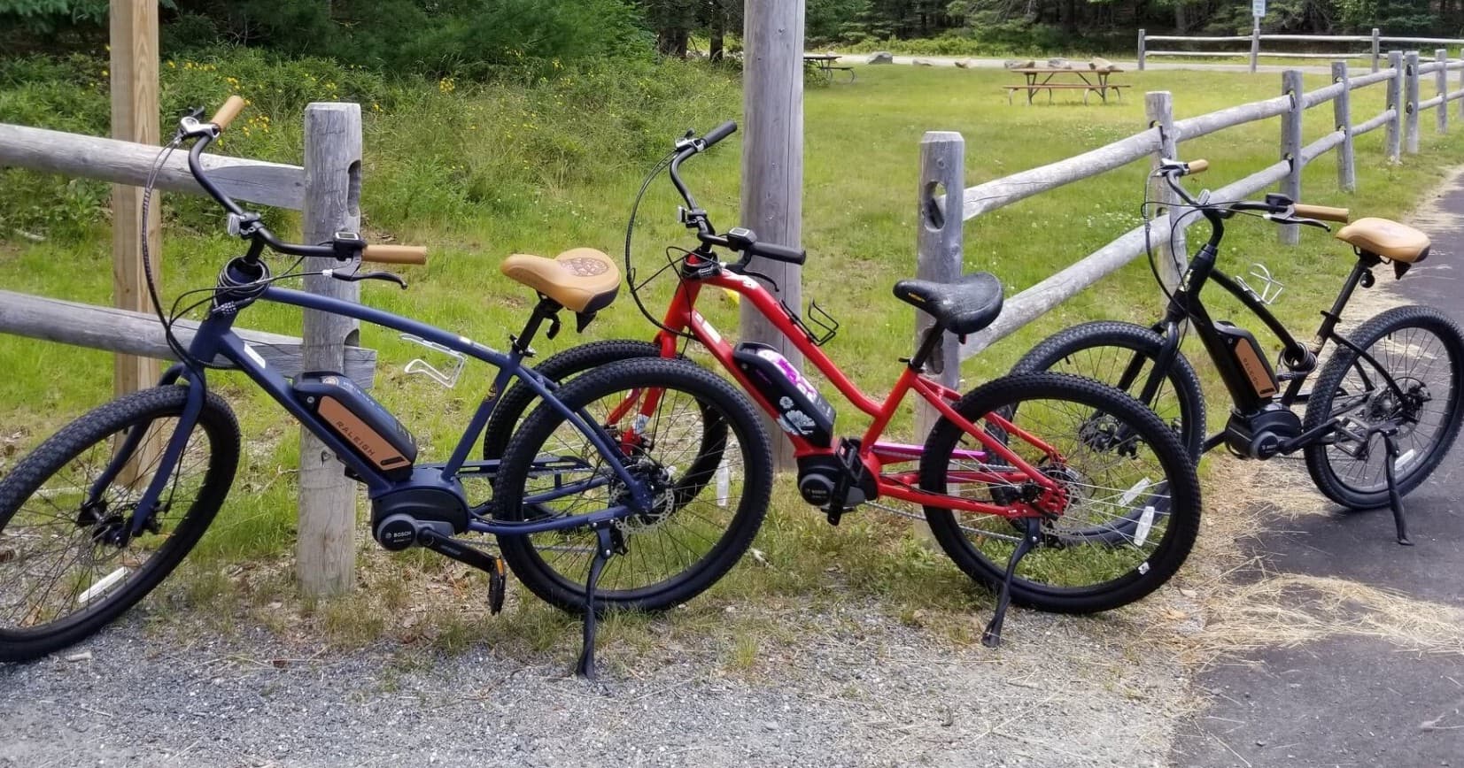 Self-Guided Ebike Tours - Carriage Roads / Bar Harbor Area