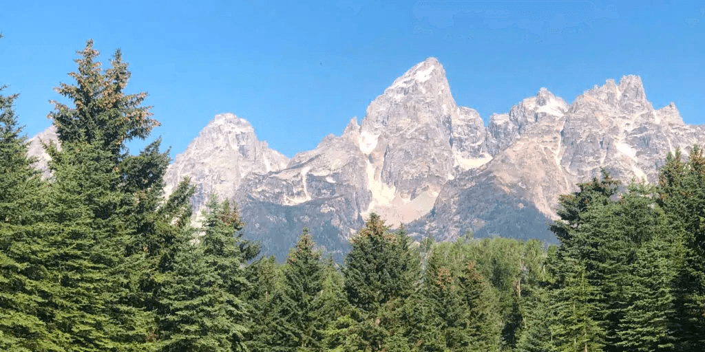 Yellowstone & Grand Teton Day Tour - Private Tour