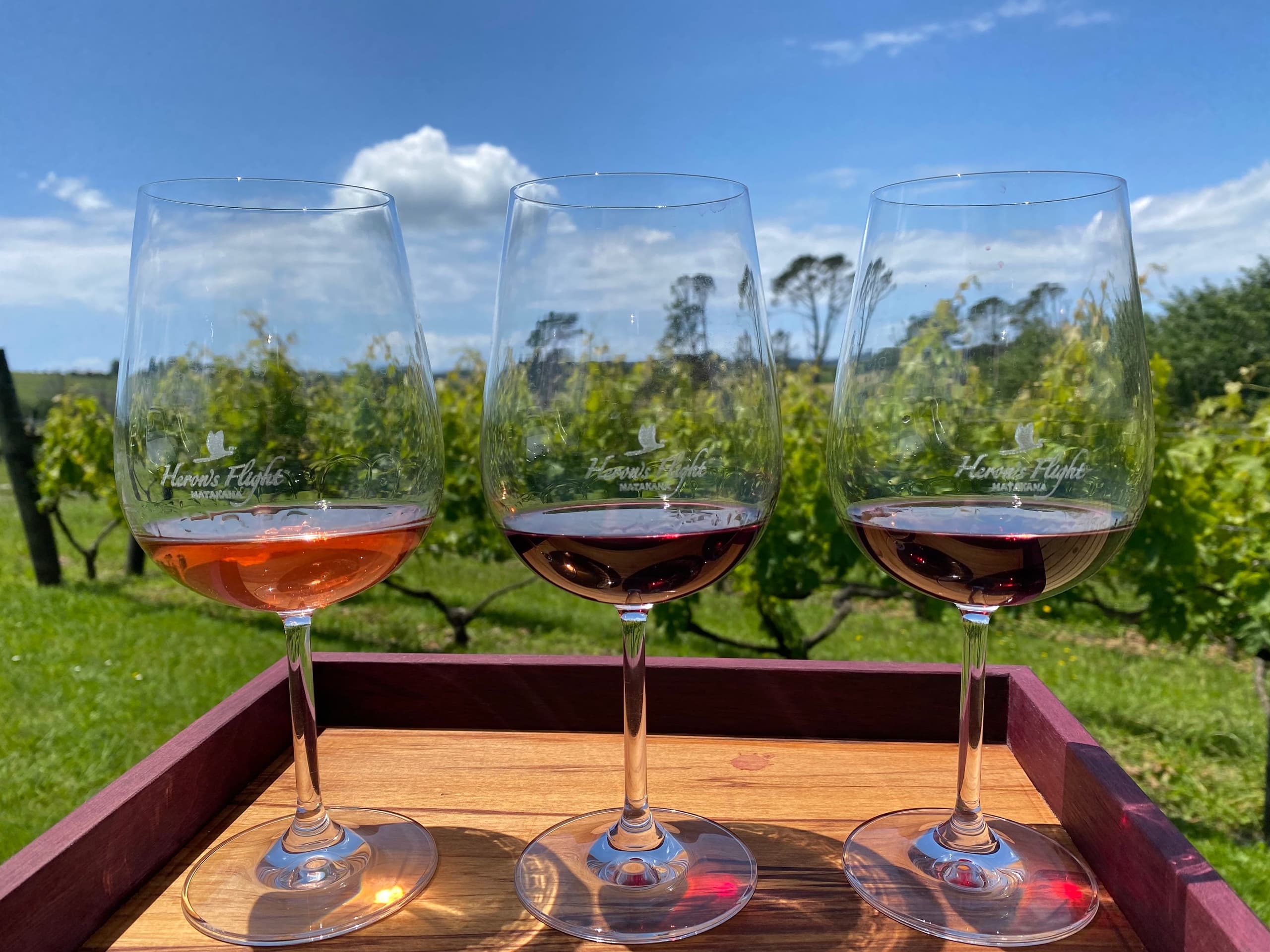Matakana Wine & Art Private Tour