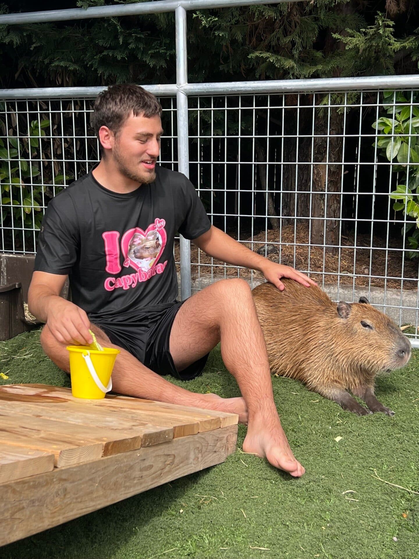Capybara Encounter