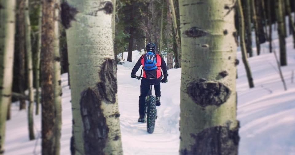 Half Day Winter Fat Bike Tour