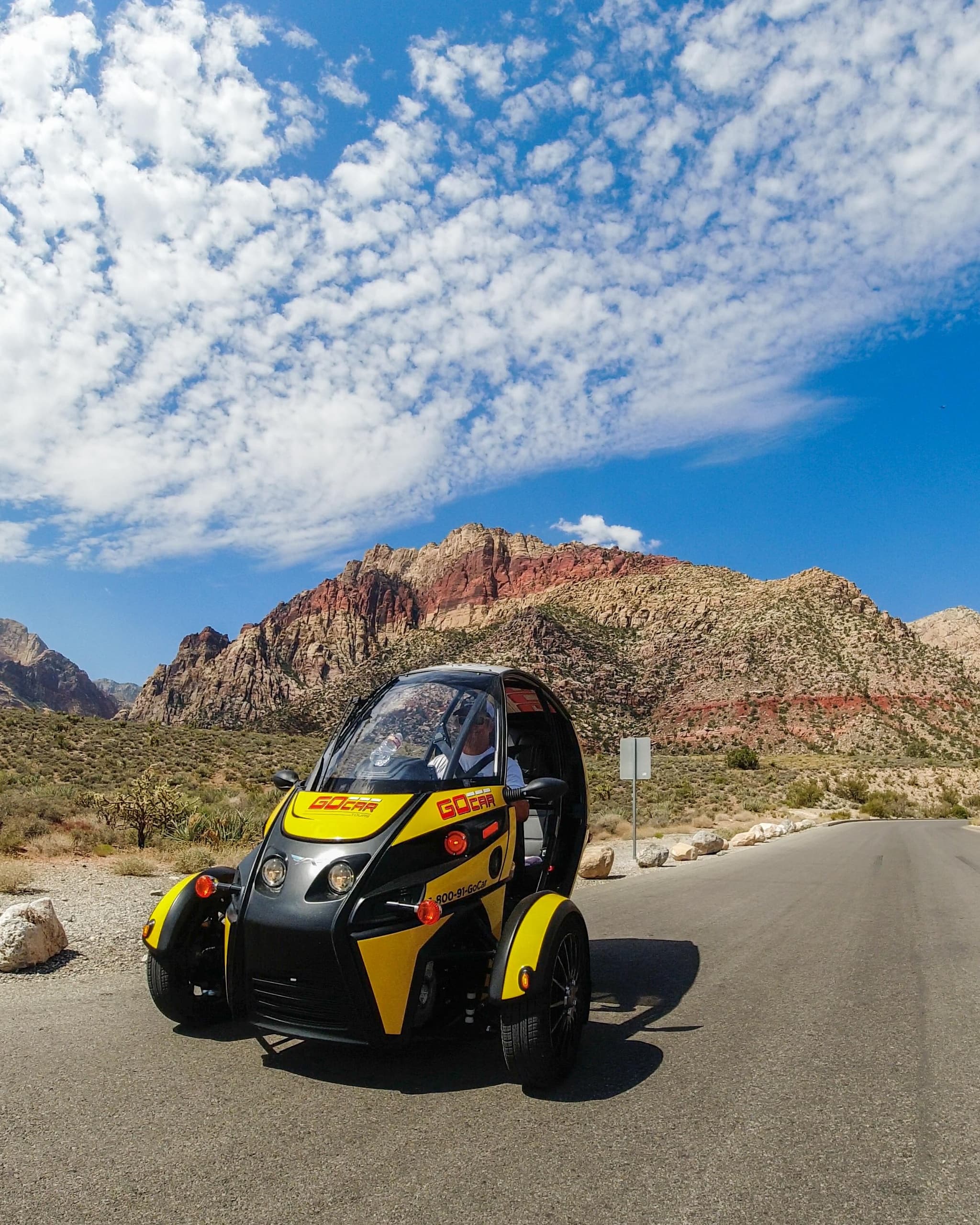 Scenic Red Rock Canyon Tour 3-4hrs