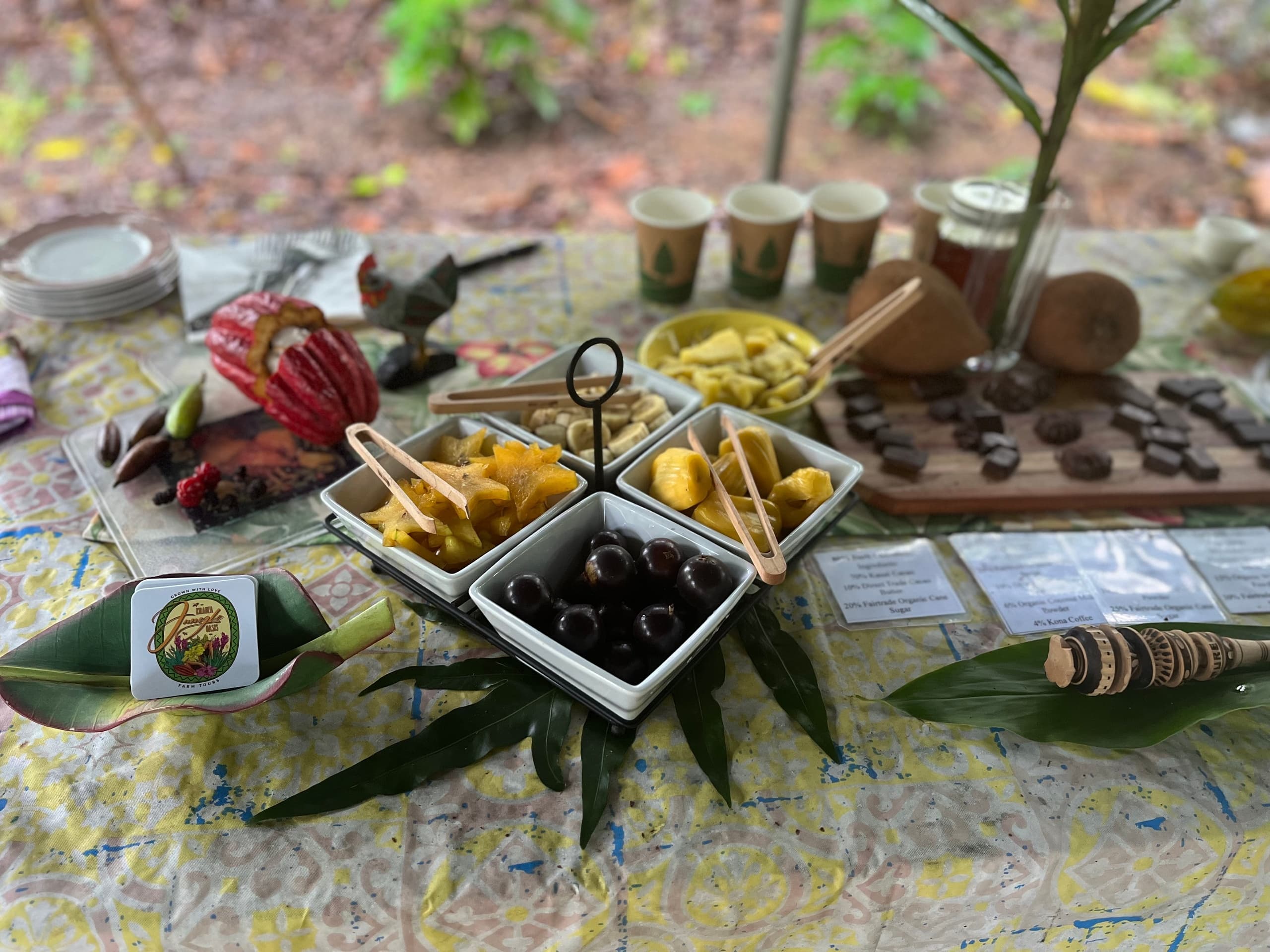 Chocolate Farm Tour