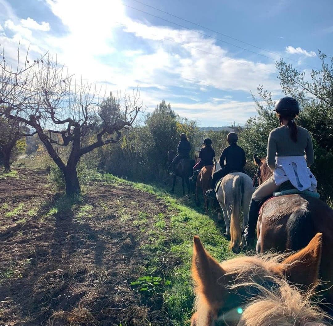 Private Tour - Barcelona: Hiking and Horse Riding Trip in Montserrat